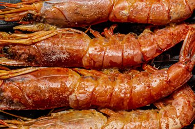 karides kraliyet büyük bütün kafa demir ızgara close-up mutfak backgro