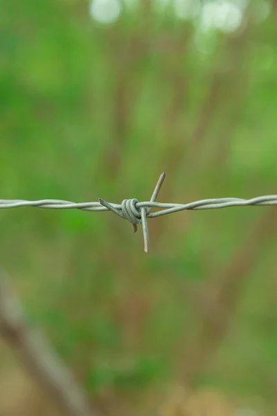 铁刺铁丝网场场保护在草地垂直照片的模糊背景 — 图库照片