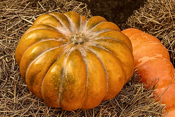 Decoración de la granja calabaza naranja y acanalado heno otoño cosecha fondo —  Fotos de Stock