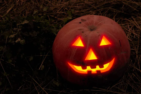 Diabelski Dynia Halloween oczy projektować spojrzenie uroczysty wystrój — Zdjęcie stockowe
