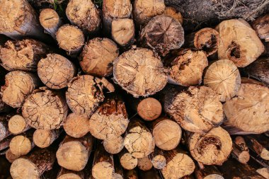 ahşap arka plan tahta kahverengi gövde desen Isıtma