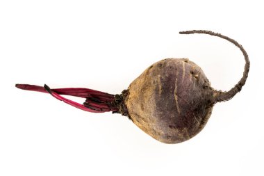 İzole bir arka planda olgun pancar kökü sebzesi
