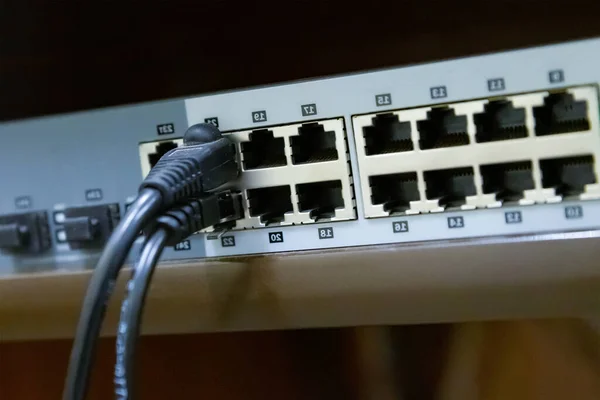 Internet Switch Met Kabel Voor Lokale Communicatie Close — Stockfoto