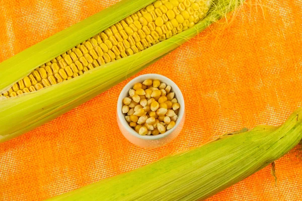 Пара Зеленых Кукурузных Стручков Сушеными Золотистыми Зернами Белой Чаше — стоковое фото