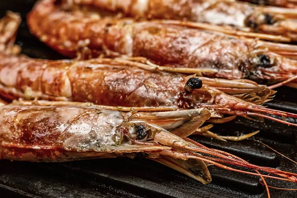 Langoustine Takımının Büyük Kırmızı Odak Noktası Kafaya Yakın Çekim — Stok fotoğraf