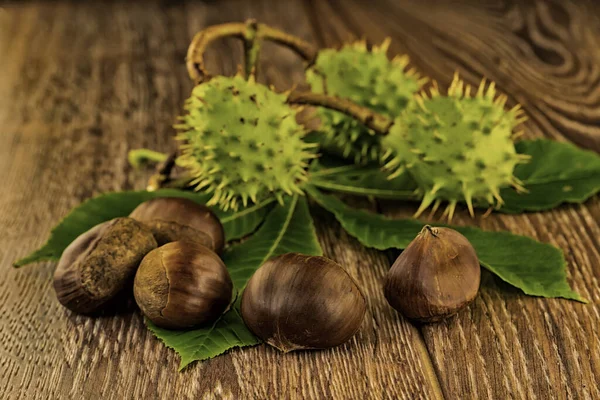 Verschiedene Grüne Und Braune Kastanien Auf Einem Hölzernen Hintergrund Getönt — Stockfoto