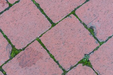 Kare karo kahverengi eğimli desen blok eklemlerinde yosun büyür