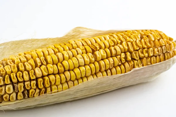 Кукурузный Початок Желтыми Зернами Старый Сухой Осенний Урожай Белом Фоне — стоковое фото