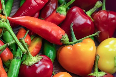 Çeşit çeşit acı biber portakal kırmızı çan sebze deseni