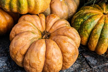 Kabak turuncu renkte. Sebze yakından Cadılar Bayramı sembolü.