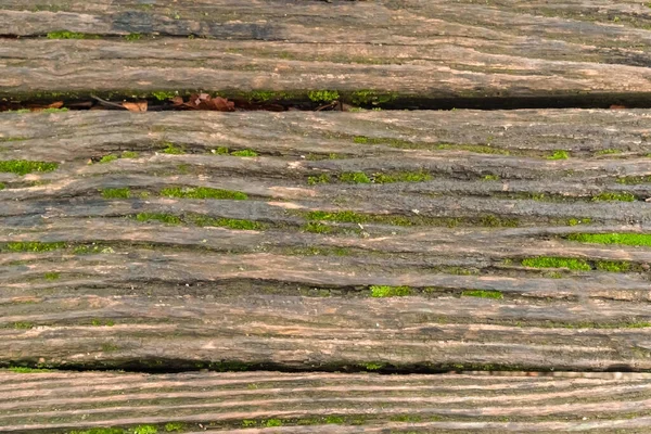 Oude Verweerde Mos Bedekte Planken Patroon Achtergrond Natuurlijk — Stockfoto