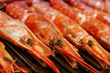 Karidesler arka planda kafalarını ızgaraya yakın çekerek bir sırada uzanırlar.