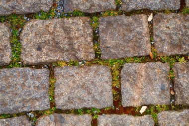 Eklemler arasındaki kaldırım taşının yolu çimen filizlenir
