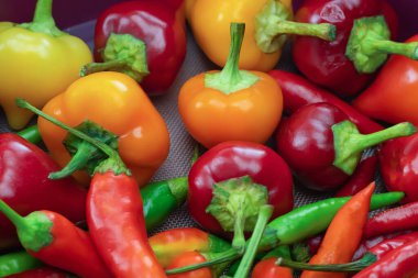 Kırmızı, turuncu ve yeşil biber seti.