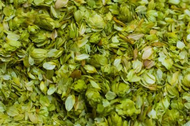 Taze sıçrayışlar yeşil yakın plan demleme tabanı