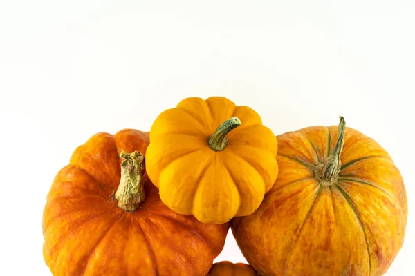 Tres Calabazas Naranjas Frescas Dos Grandes Una Pequeña Sobre Fondo —  Fotos de Stock