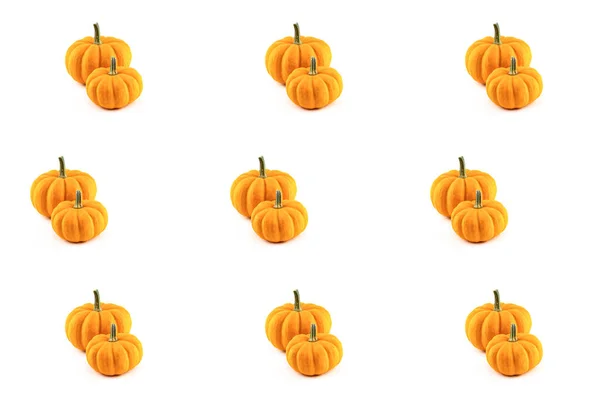 Pair Pumpkins Orange Autumn Symbol Isolated White Background — Stock Photo, Image