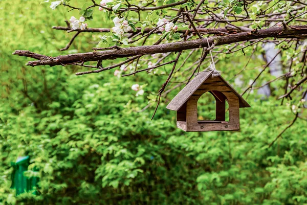 Trä Fågelhus Hängande Gren Ett Äppelträd — Stockfoto