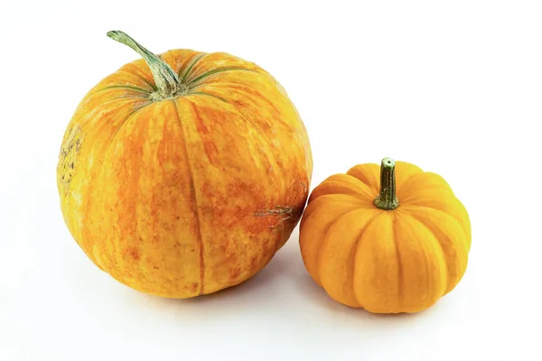 Őszi Zöldségek Tök Narancs Nagy Kicsi Elszigetelt Háttér — Stock Fotó