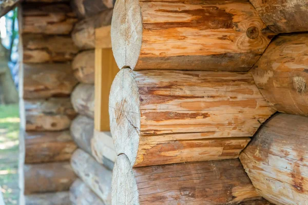 用松木堆叠成的圆木房子 — 图库照片