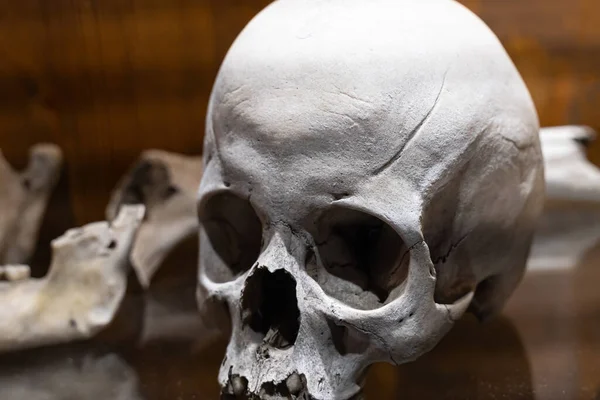 Cranio Umano Bianco Vecchio Intemperie Vicino — Foto Stock