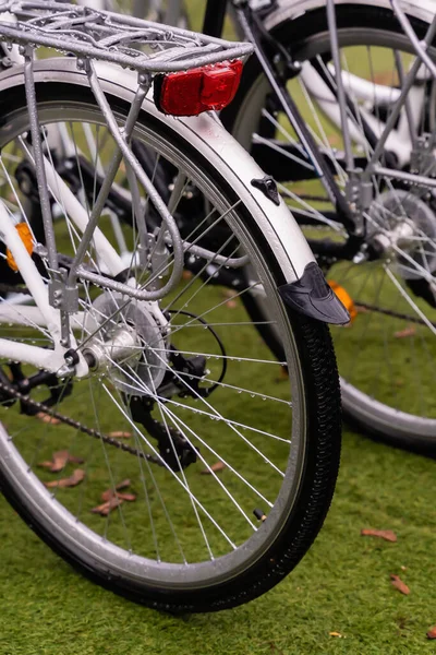 Ruota Posteriore Della Bicicletta Con Ingranaggio Primo Piano Fondo Prato — Foto Stock