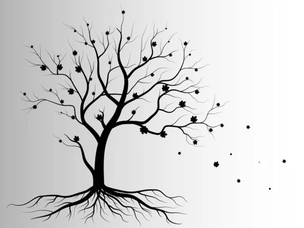 黑枝树或裸树的轮廓 手绘孤立的插图 — 图库矢量图片