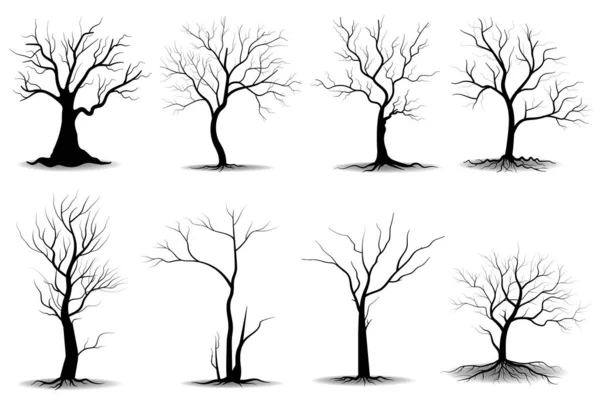 Black Branch Tree Oder Naked Trees Silhouetten Gesetzt Handgezeichnete Isolierte — Stockvektor