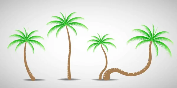 Insamling Kokosträd Kan Användas För Att Illustrera Någon Natur Eller — Stock vektor