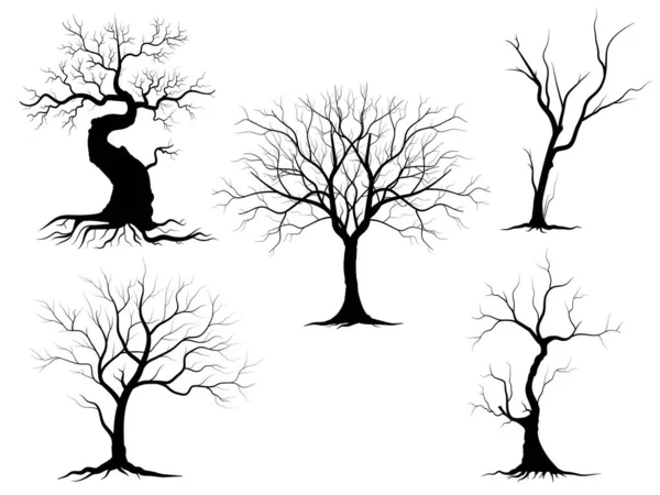 Árbol Rama Negra Conjunto Siluetas Árboles Desnudos Ilustraciones Aisladas Dibujadas — Vector de stock