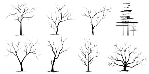 Árvore Ramo Preto Silhuetas Árvores Nuas Conjunto Ilustrações Isoladas Desenhadas — Vetor de Stock