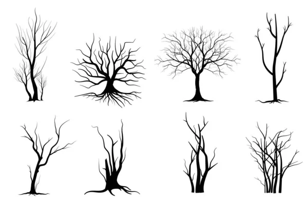 Arbre Branches Noires Silhouettes Arbres Nus Illustrations Isolées Dessinées Main — Image vectorielle