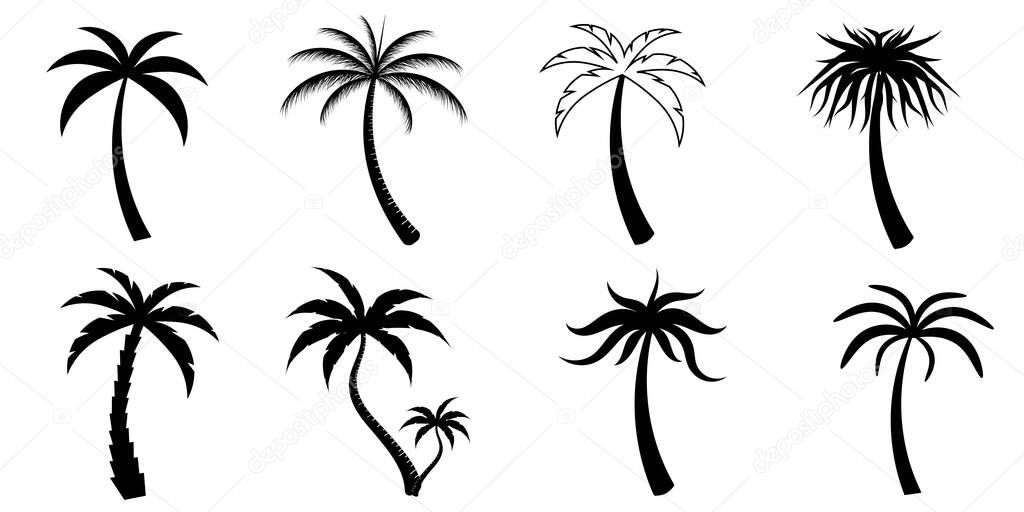Collection of Black Coconut trees Icon. Can be used to illustrate any nature or healthy lifestyle topic.