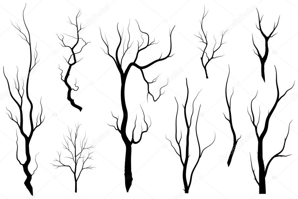 Black Branch Tree or Naked trees silhouettes set. Hand drawn isolated illustrations.