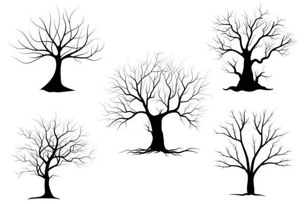 Árbol Rama Negra Conjunto Siluetas Árboles Desnudos Ilustraciones Aisladas Dibujadas — Vector de stock