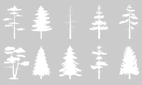 Verzameling Van Witte Bomen Pictogram Kan Worden Gebruikt Ter Illustratie — Stockvector