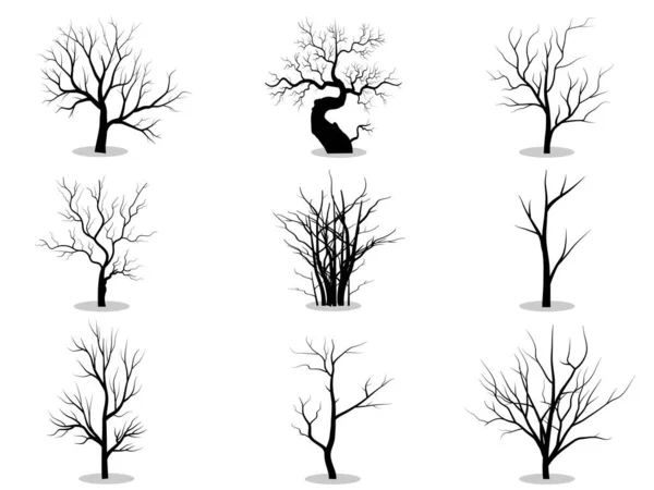 Black Branch Tree Naked Trees Silhouettes Set Hand Drawn Isolated — Stock Vector