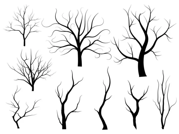 Black Branch Tree Naked Trees Silhouettes Set Hand Drawn Isolated — Stock Vector