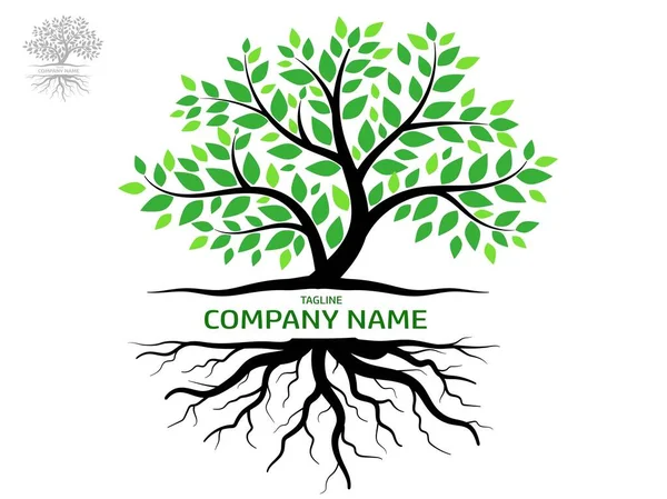 Yeşil yapraklı ağaçlar güzel ve ferahlatıcı görünüyor. Ağaç ve kökler LOGO biçimi.
