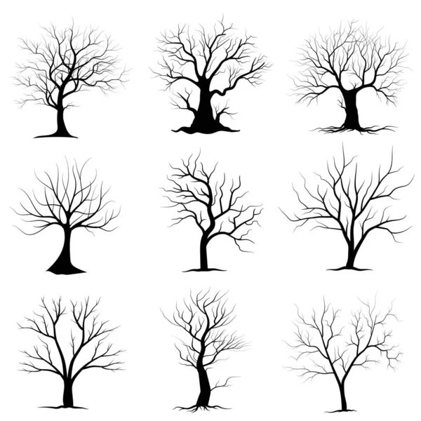 Black Branch Tree Set Sagome Alberi Nudi Illustrazioni Isolate Mano — Vettoriale Stock