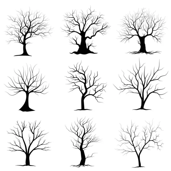 Black Branch Tree Oder Naked Trees Silhouetten Gesetzt Handgezeichnete Isolierte — Stockvektor