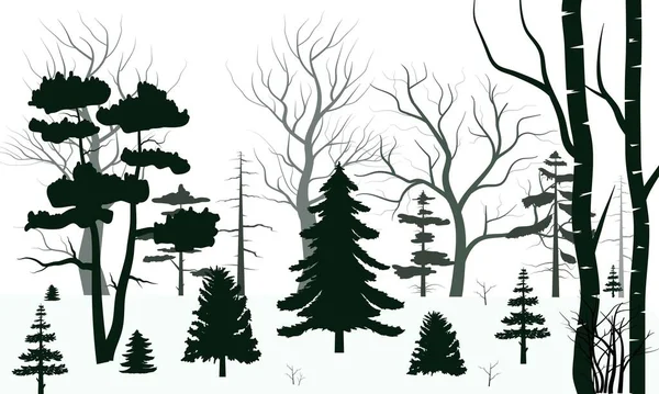 Дерева Лісового Фону Снігу Концепції Зимового Сезону Рука Намальована Ізольовані — стоковий вектор