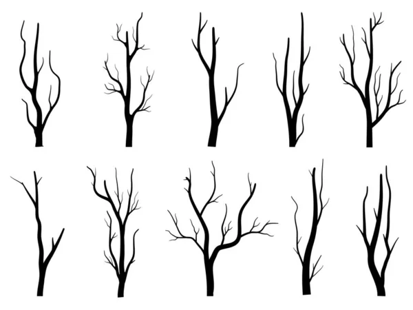 Arbre Branches Noires Silhouettes Arbres Nus Illustrations Isolées Dessinées Main — Image vectorielle