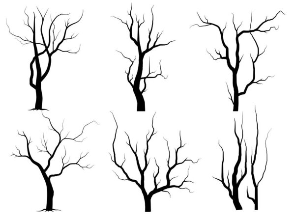Black Branch Tree or Naked trees silhouettes set. Hand drawn isolated illustrations.
