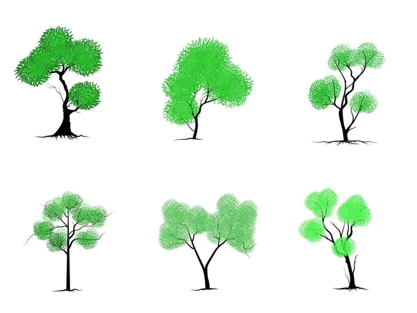 Drzewa Zielonymi Liśćmi Wyglądają Pięknie Orzeźwiająco Drzewo Korzenie Stylu Logo — Wektor stockowy