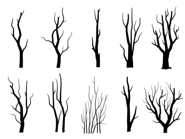 Árvore Ramo Preto Silhuetas Árvores Nuas Conjunto Ilustrações Isoladas Desenhadas — Vetor de Stock