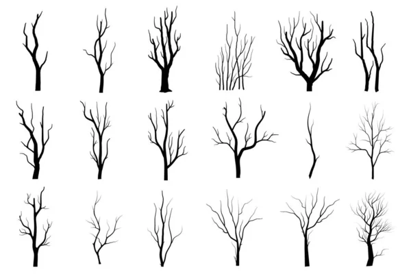 Black Branch Tree Oder Naked Trees Silhouetten Gesetzt Handgezeichnete Isolierte — Stockvektor