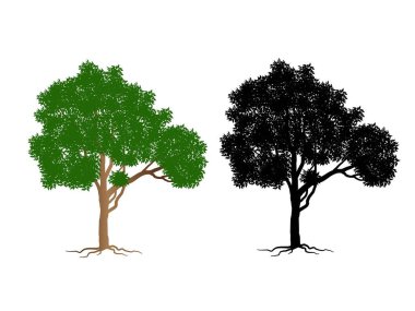 Ağaç Sembolü tarzı ve beyaz arkaplan. Ağaçların siluetleri hazır. El çizimi izole çizimler.