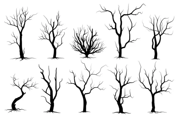 Black Branch Tree Set Sagome Alberi Nudi Illustrazioni Isolate Mano — Vettoriale Stock