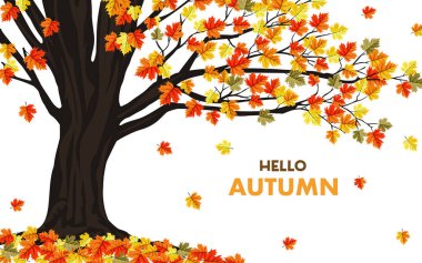 Renkli yapraklı sonbahar arkaplanı. Düşen turuncu, kırmızı ve sarı yapraklı büyük bir ağaç sıcak, sıcak ve canlı bir mevsimlik atmosfer yaratıyor. Sonbahar temalı arkaplan veya tasarım için mükemmel.